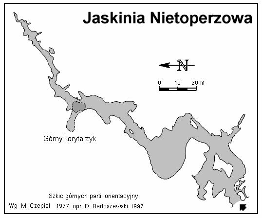 Jaskinia Nietoperzowa